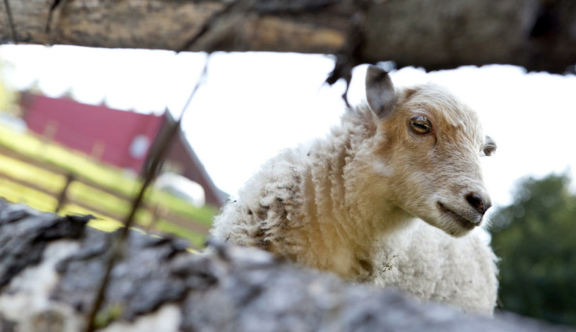 Wellness hotel Velveta Špindlerův Mlýn